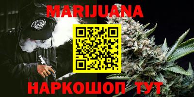 шишки Донской