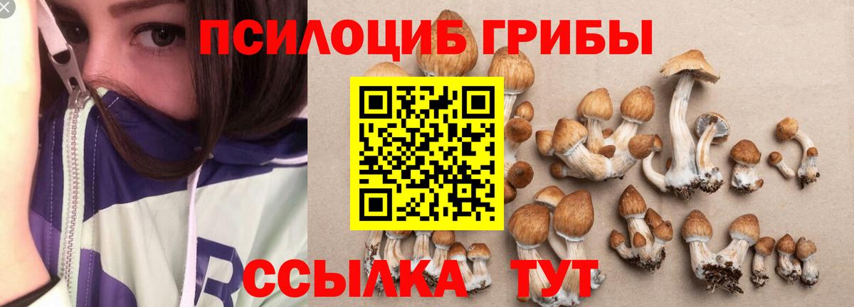 Псилоцибиновые грибы MAGIC MUSHROOMS  Вход с VPN  Мценск 